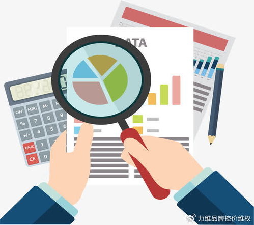 专业电商数据分析服务 数据处理如何赋能品牌破局增长